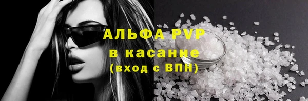 крисы Белокуриха