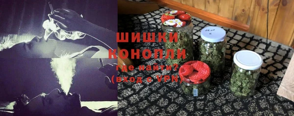 крисы Белокуриха