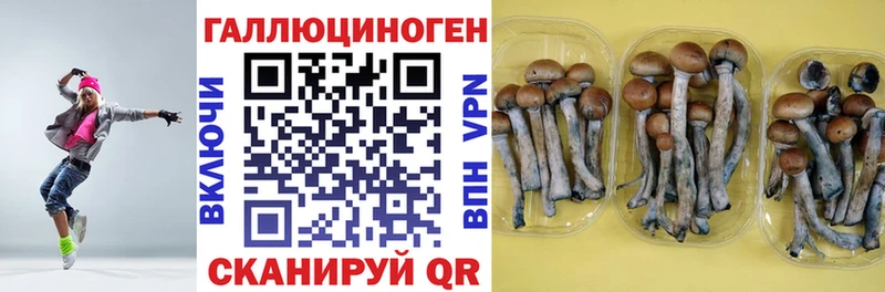 Галлюциногенные грибы мицелий где можно купить Воркута